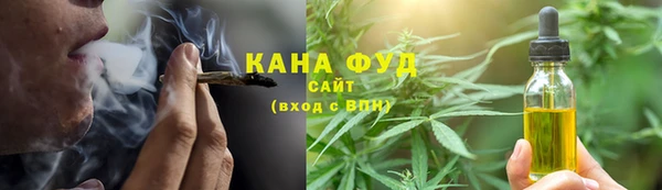 молекула духа Богородск