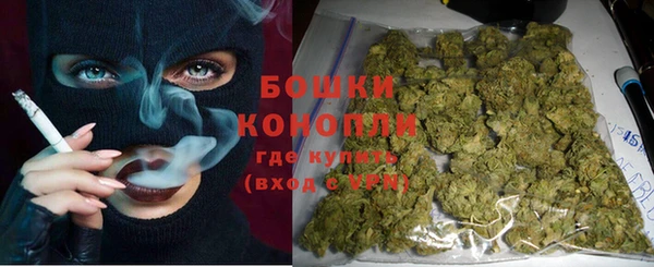 молекула духа Богородск